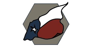 13th Annual Texas 10 Conroe presented by Houston Methodist Orthopedics & Sports Medicine