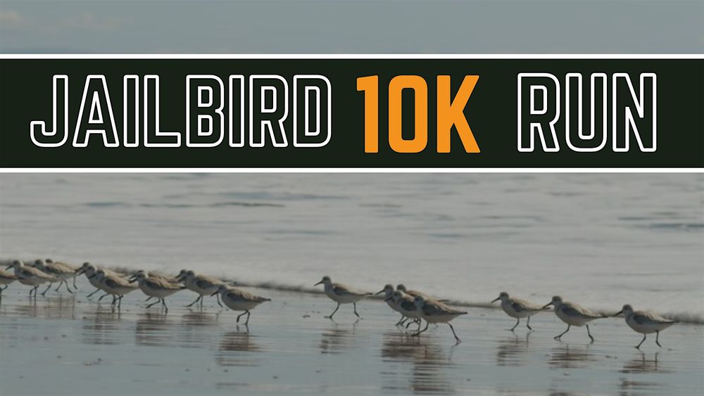 The Jailbird 10K