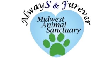 De Soto Days 5K-9 and Family Fun Run