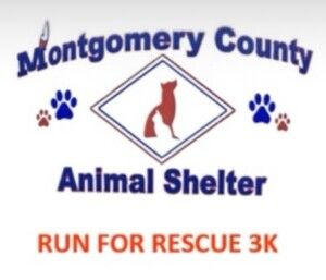 Run For Rescue 3K