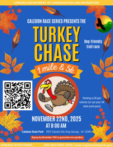 Turkey Chase