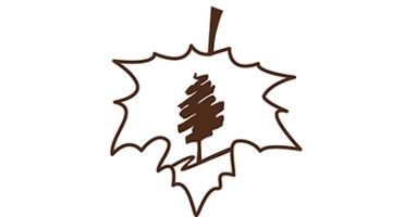 Mountain State Forest Festival 10K and 5K Run/Walk