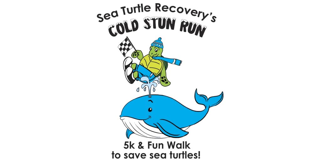 Sea Turtle Race: Cold Stun Run