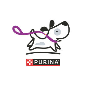 Purple Leash 5k & Fun Run