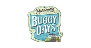 Barnesville Buggython Road Race 5K and 10K