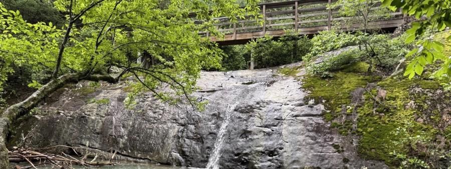 Cossatot River Trail Run