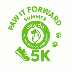 Paw It Forward Summer 5k