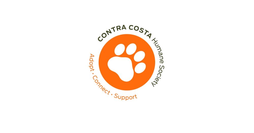 Walk for Paws