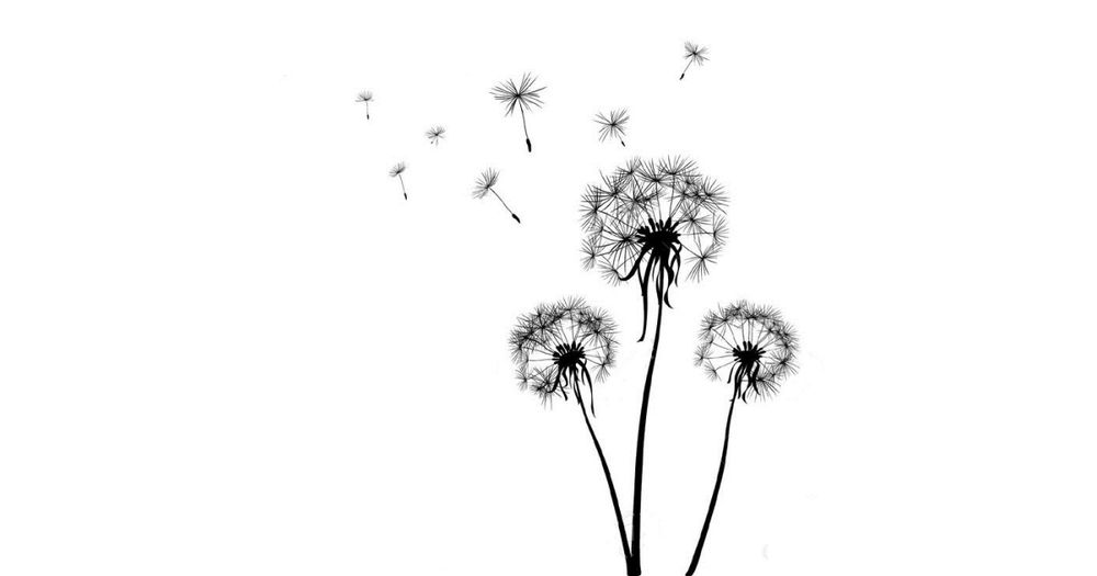 Dandelion Run - 5k / 10k Trail Race