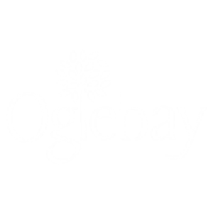 Oglebay Twinkle Trot 5k