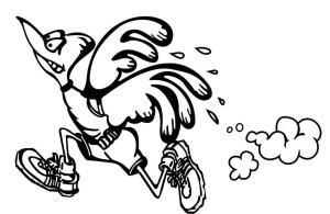 47th Annual Roseville Big Bird Run
