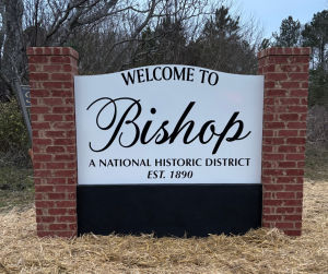 Bishop Boogie 5K