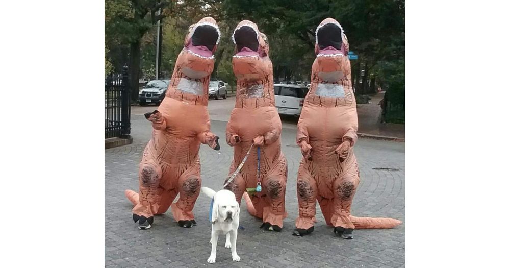 Richmond T. Rex Run