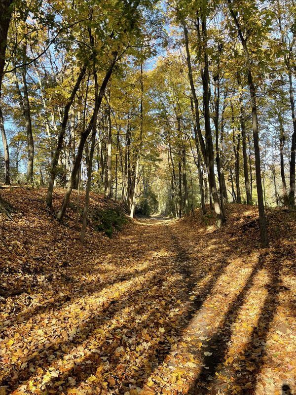 Colorful Fall Hike in Watchung Resevation!
