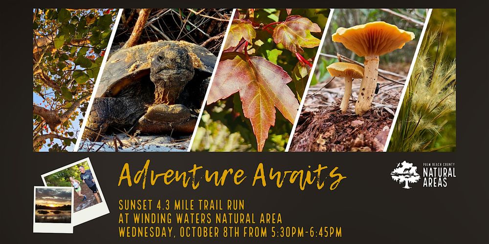 Adventure Awaits Running Wild -  4.3 Mile Trail Run @ Winding Waters