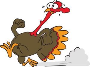 Hillsdale Hobble Gobble