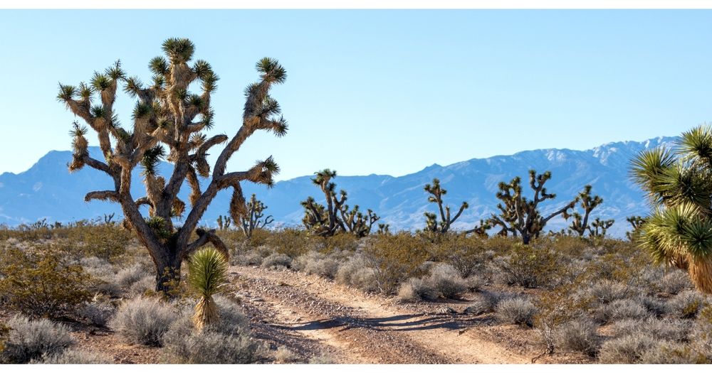 Flat Top Mesa Endurance Run 2026