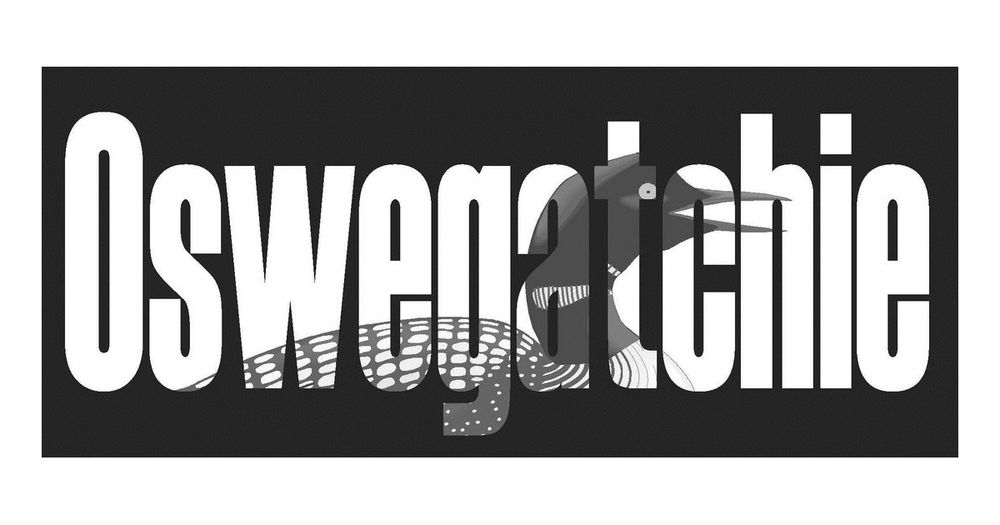 AdironDUCK 5K Trail Run Walk or Ride