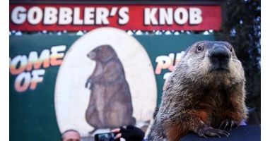 Groundhog Jog 4 Mile Run / Walk