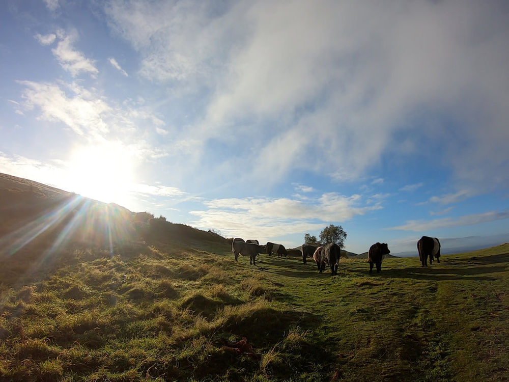 Serpent Trail Ultra Run - November 2026