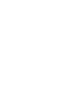 Groundhog Grind Trail Run