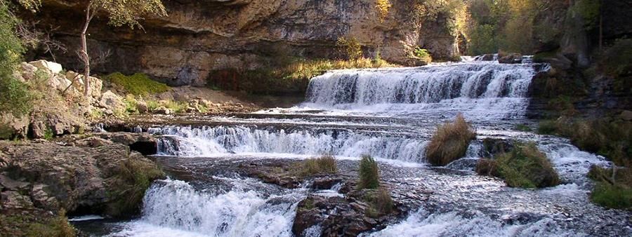 The Willow 10 & 20 Miler