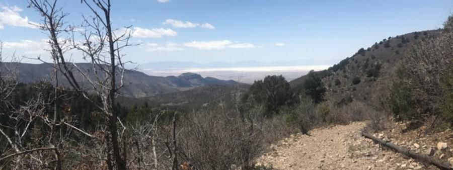 Cloudcroft Ultra 53k, 9.5 & 4.75 mile & 1 mile kids