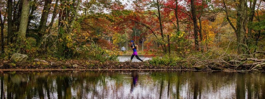 Midstate Massive Ultra Trail
