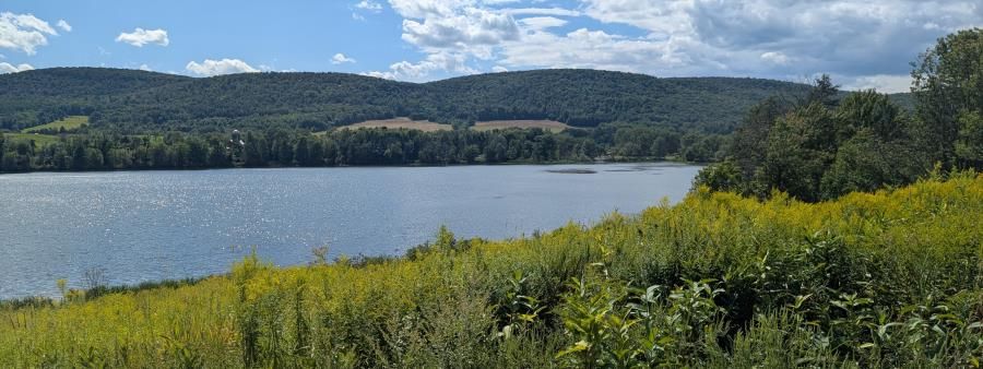 Aw, Schugs 100 & 30hr