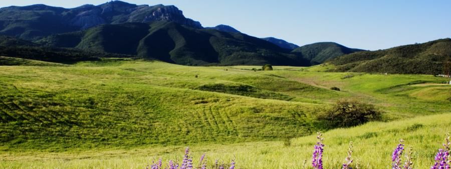 Malibu Canyon Trail Races