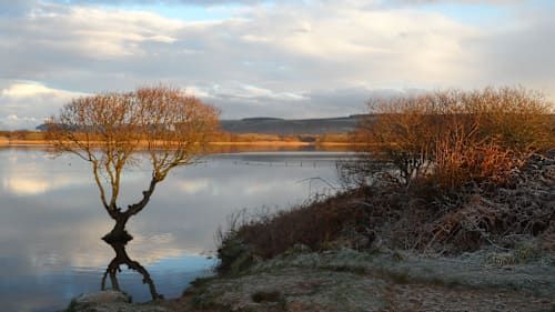 Kenfig Dunes Duathlon