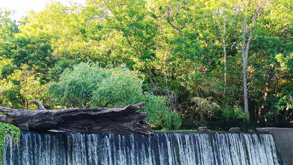 REPRESA TRAIL & TREKKING