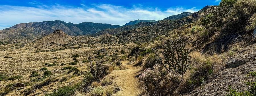 The 10k Classic Trail Run