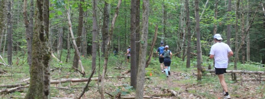 Spaulding Woods 50K