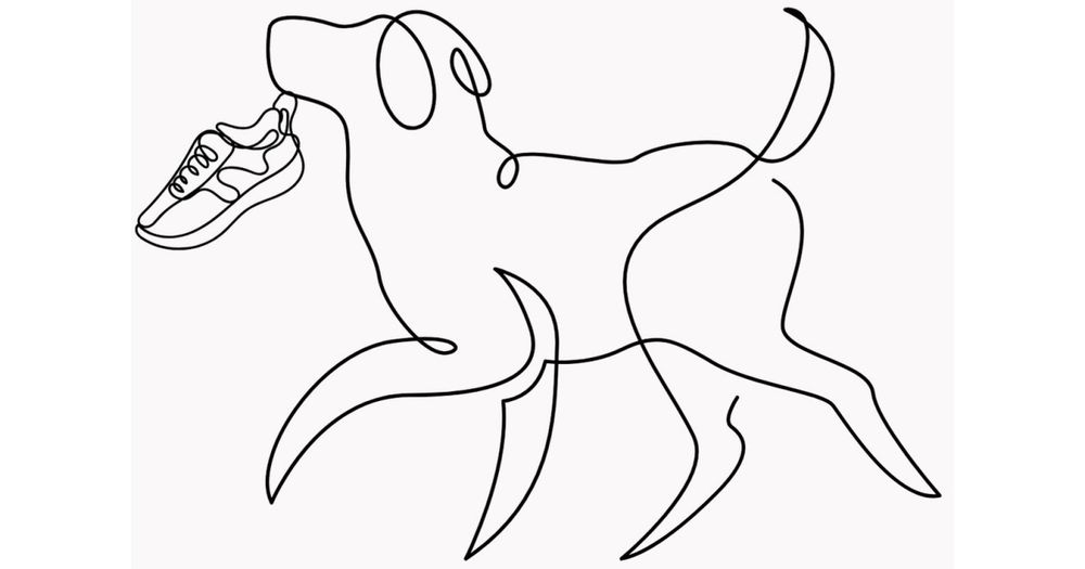 Move Your Mutt 5k Run/Walk