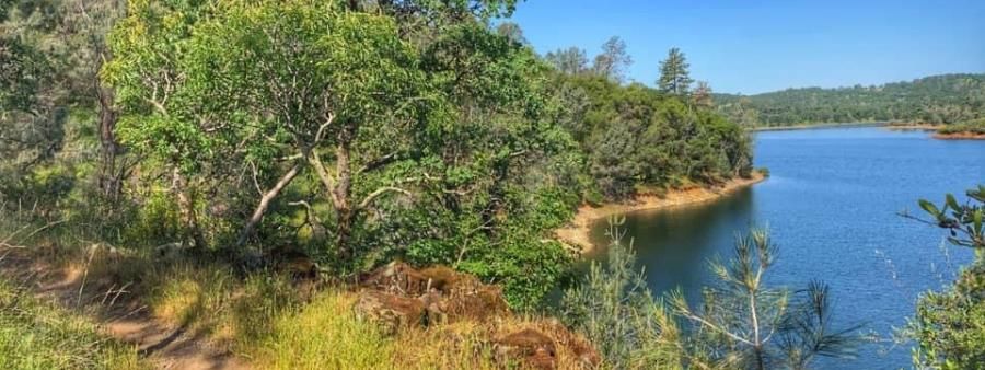 Folsom Lake Falcon Crest Trail Run