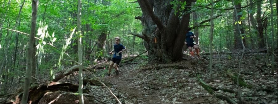 Two Hollows Monster Marathon and Half Marathon