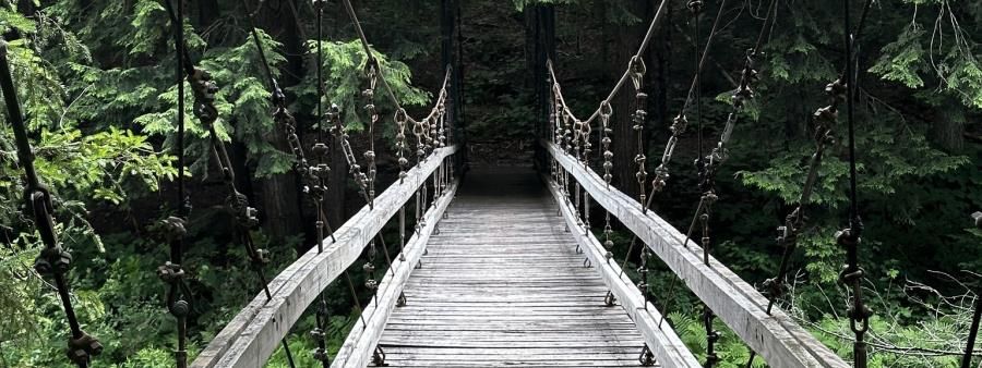 Wilcox Wild Ultra 50K 2026