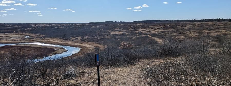 NCTRaces: Bird Sanctuary