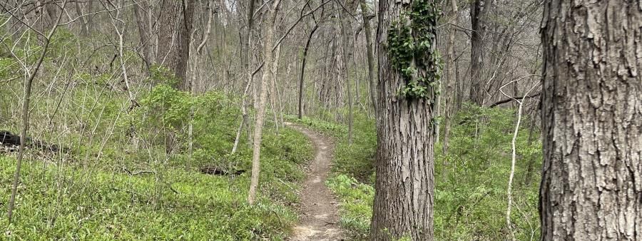 Tour de Trail: Wyandotte County Lake Park