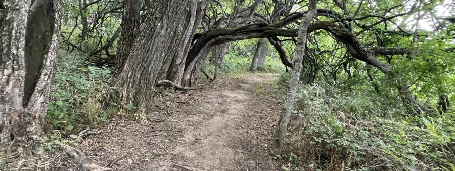 Tour de Trail: Big Bull Creek Park