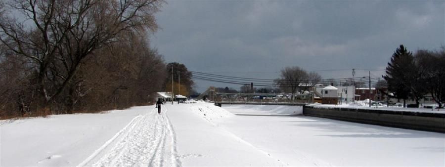 Beast of Burden - Winter