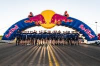 Fiesta Wildflower 2026