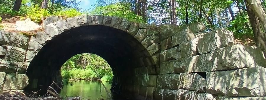 Flat Rock Trail Race