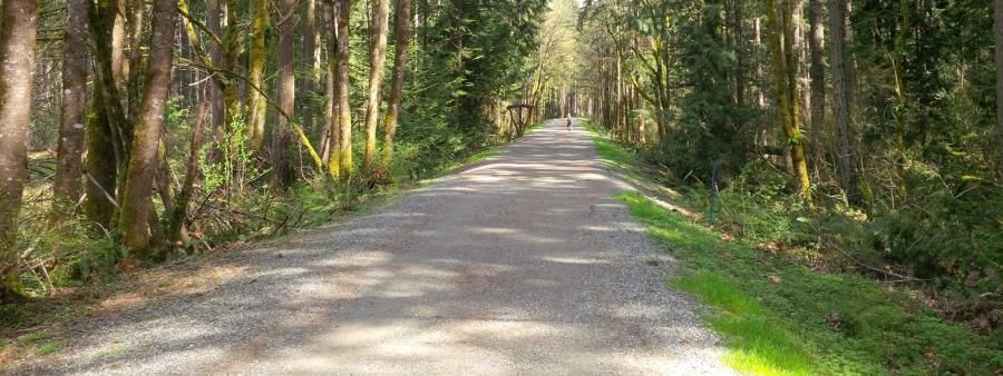 Pigtails Run - The "flat" run