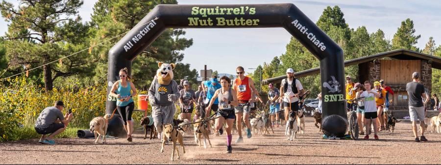 Flagstaff Doggie Dash & BuffaLoops Ultra