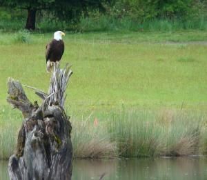 2026 Tualatin River Run