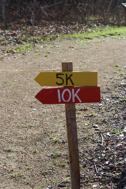 2026 Trail Run / Walk @ Navarino Nature Center