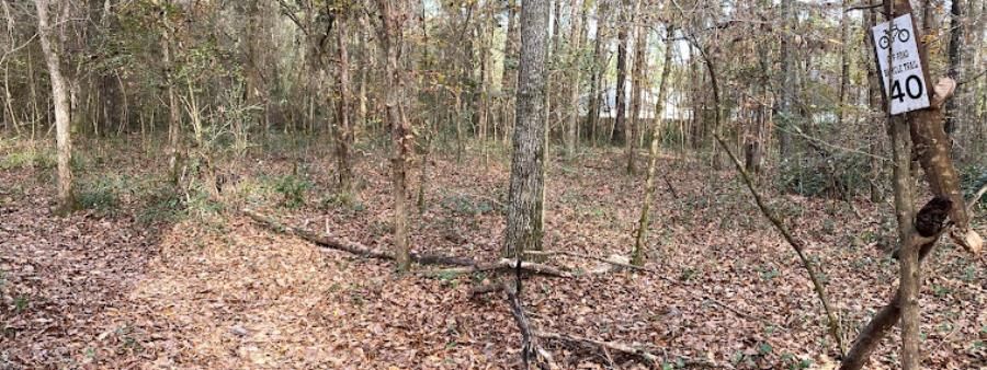 Last of the Felascans