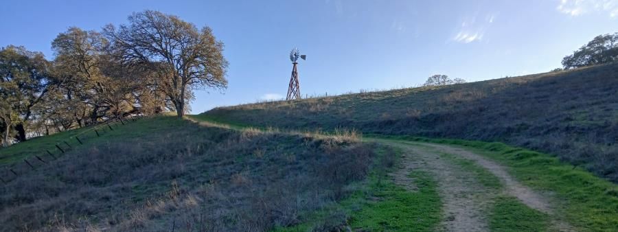 Go Wild! MTZ 2 Hr, 4 Hr